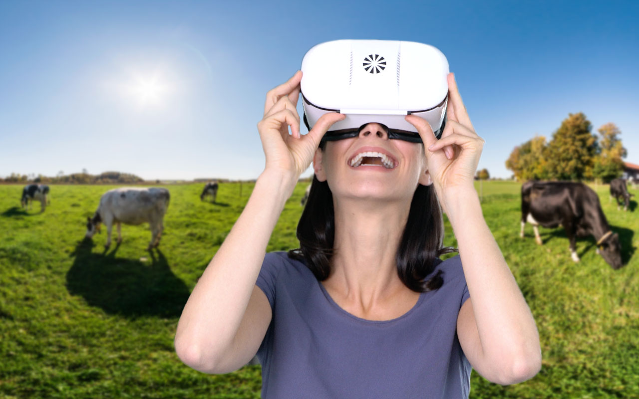 virtuelles 360 Grad Video mit jeder VR-Brille erleben